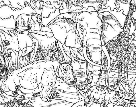 Coloring Pages African Animals Kids N 45 Coloring Pages Of