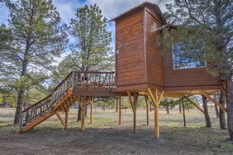 9 Best Colorado Treehouse Rentals 2023 Top Treehouses