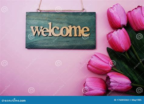 Welcome Sign And Tulip Flower Blooming Decoration On Pink Background