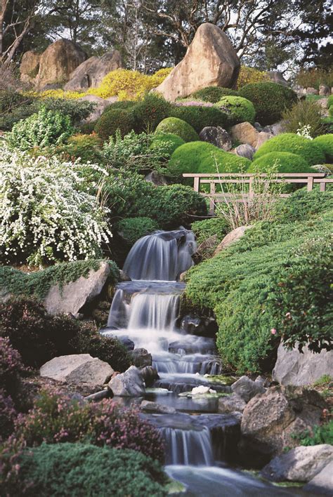 We did not find results for: Japanese Garden & Cultural Centre — Visit Cowra