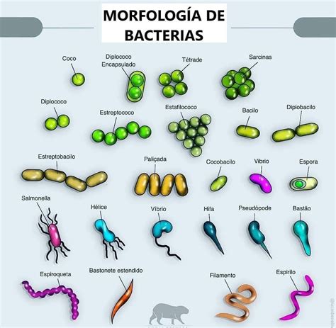 Pin de Ariadne Elizondo em Química Material de enfermagem Métodos de