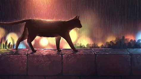 Black Cat Walking In The Rain Live Wallpaper Wallpaperwaifu