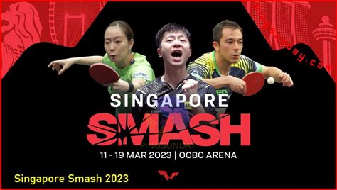 Table Tennis Wtt Singapore Smash 2023 Pingsunday