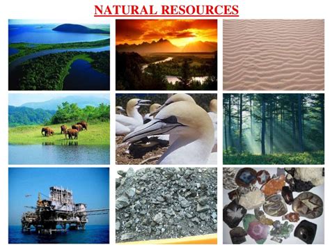 Management Of Natural Resources Ppt