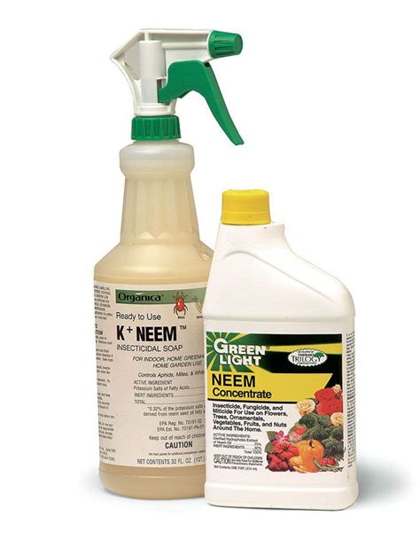 Does planting garlic keep pests away? Control Pests and Diseases Safely With Neem | Pest control ...