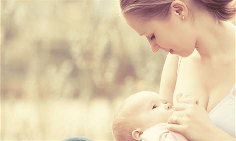 Mitos Y Verdades Detrás De La Lactancia Materna
