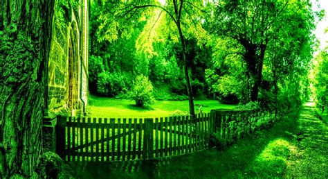 Beautiful Green Nature Wallpaper Background By Rogue Rattlesnake On