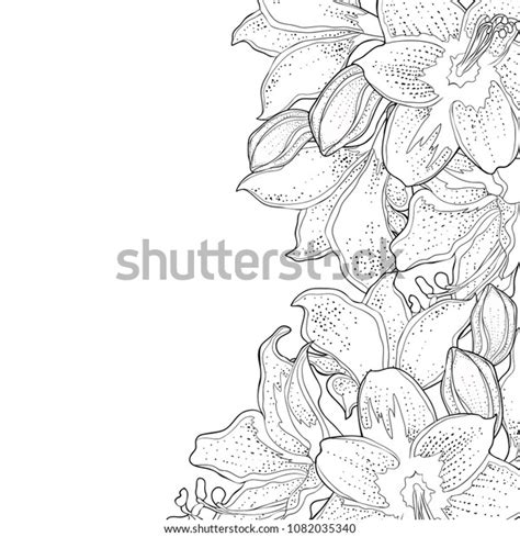 Card Coloring Hippeastrum Amaryllis Flower Vector 스톡 벡터 로열티 프리
