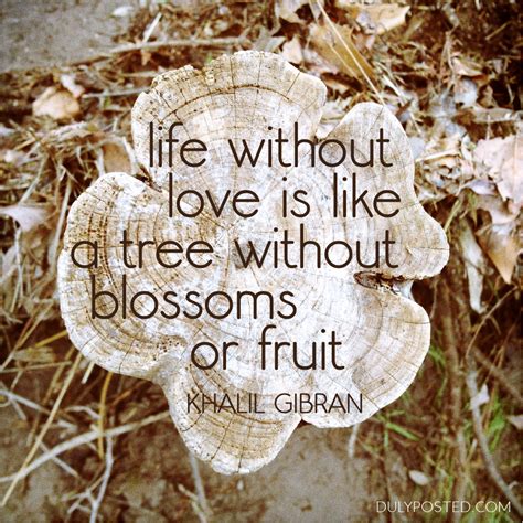 Tree Quotes About Love Quotesgram