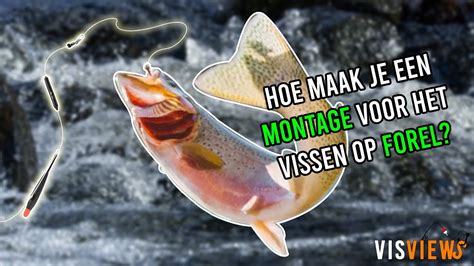 Vissen Op Forel Met Dobber Montage Tutorial 🎣 Youtube