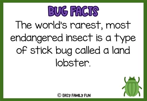 100 Epic Bug Facts For Kids