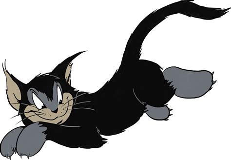 Tom And Jerry Black Cat