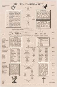 Buy Shannon Roddy The Biblical Genealogy Chart Family Tree From Adam