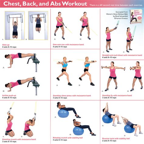 Chest Back And Abs Workout Human Kinetics