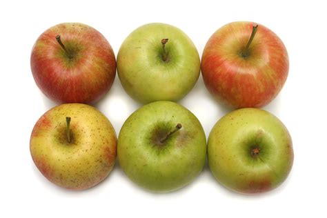 Apples Free Stock Photo | FreeImages