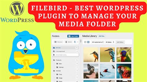Filebird Best Wordpress Plugin To Manage Your Media Folder Youtube