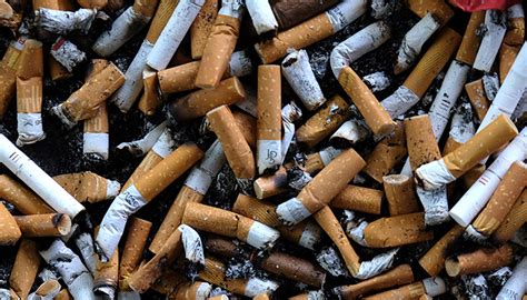Cigarette Industry Drains Rs567b Potential Revenue In 7 Years