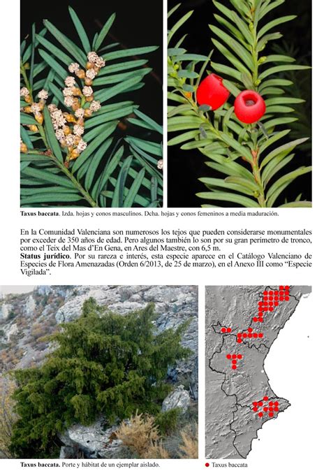 biodiversidad en los paises mediterraneos 2013