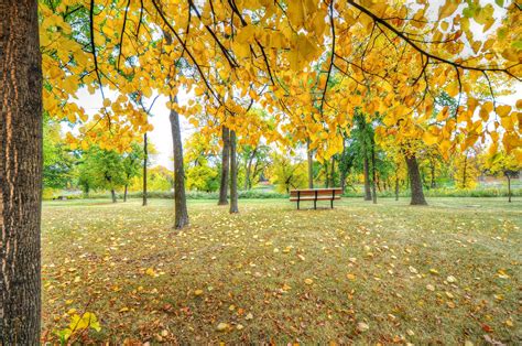 782048 Parks Autumn Bench Trees Rare Gallery Hd Wallpapers