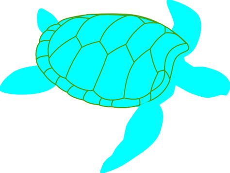 Turtle Clip Art At Vector Clip Art Online Royalty Free
