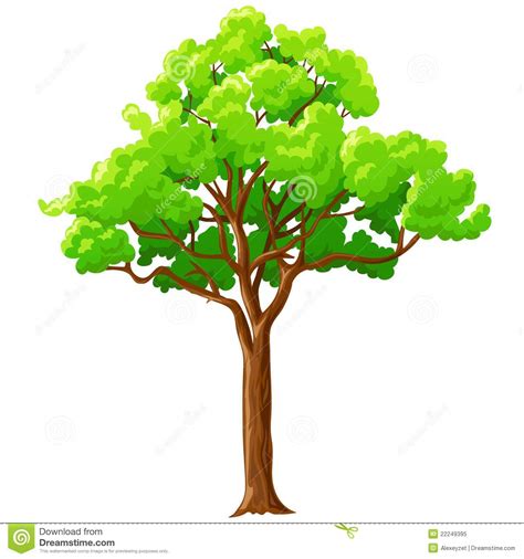 Coloriage sans imprimer frais coloriage un arbre sans. Arbre Vert De Dessin Animé D'isolement Sur Le Blanc ...
