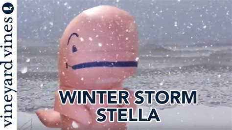 Winter Storm Stella A Snow Day With The Vineyard Vines Whale Youtube