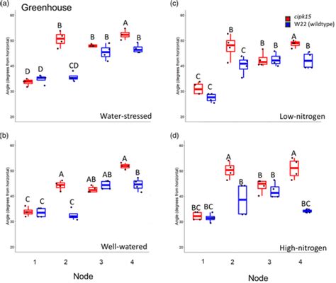 Root Angle In Maize Influences Nitrogen Capture And Is Regulated By