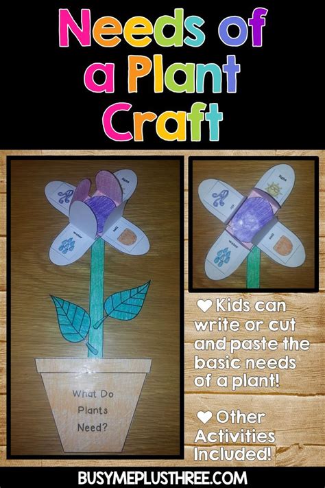 Plant Life Cycle Worksheets Observation Journal Crafty and Anchor Chart