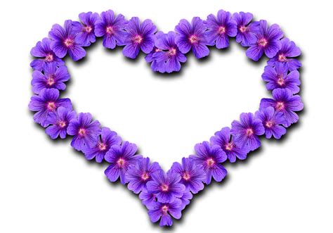 It is a symbol of love, kindness, faith, approval. Widescreen Heart Image, Purple Flower Heart, #10304