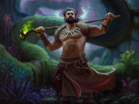 Circle Of The Moon Druid Mtg Art From Adventures In The Forgotten