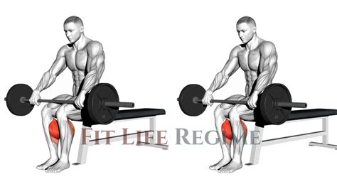 Seated Calf Raise Muscles Used Tutorial Pics