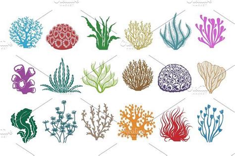 Types Of Ocean Plants Plants By