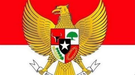 Mengenal Jumlah Bulu Burung Garuda Sebagai Lambang Negara Indonesia