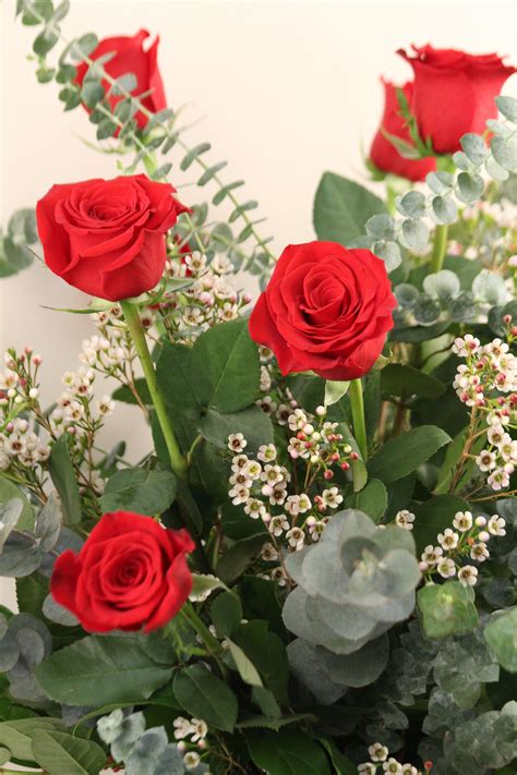 1 Dozen Long Stem Roses In Arcadia Ca Mds Florist