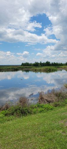 Best Hikes And Trails In Sweetwater Wetlands Park Alltrails