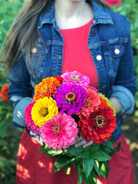 — a routine, and learn to make a squishy, sensory stress ball. Where to Pick Your Own Flowers in Massachusetts - The A ...