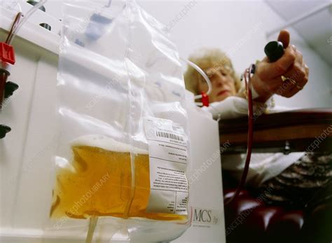 Blood Bag Containing Platelets And Woman Donor Stock Image M5320425