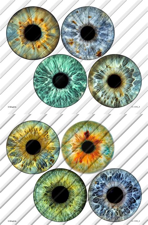 Realistic Printable Eye Iris Printable Word Searches