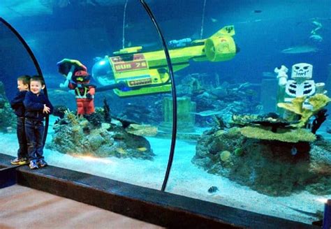 Legoland Sea Life Aquarium Hours