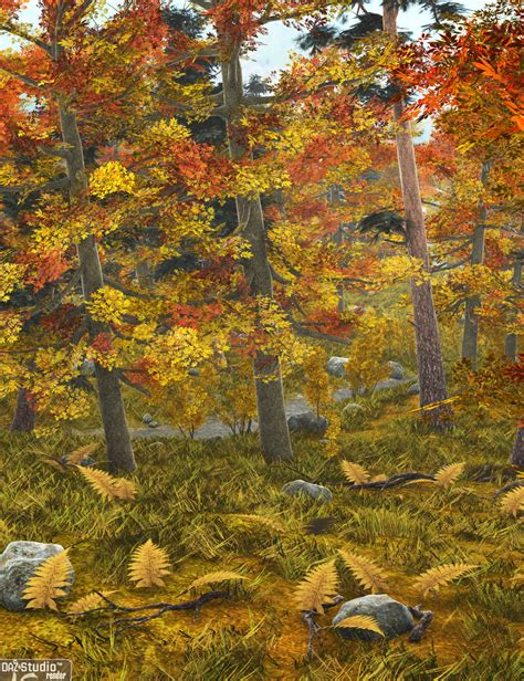 Forest Autumn Daz 3d