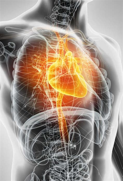 Acute Cardiovascular Disease Smartpharm Therapeutics