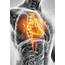 Acute Cardiovascular Disease – SmartPharm Therapeutics