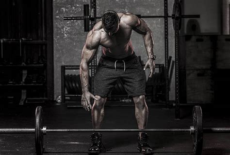 Best 5 Compound Exercises To Build Muscle Mass Alpha Wolf Nutrition