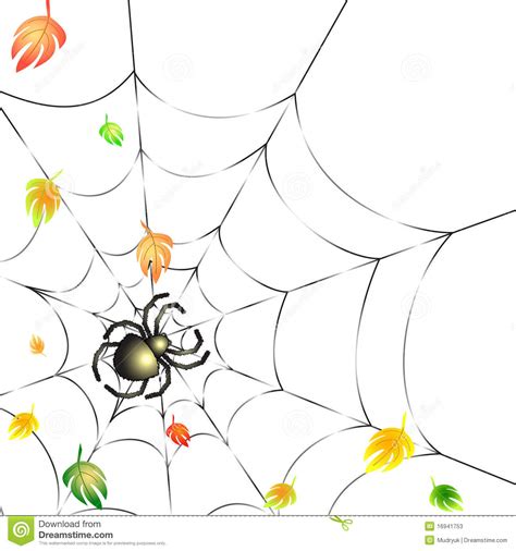 Spider On A Web In Autumn Stock Vector Illustration Of Frame 16941753