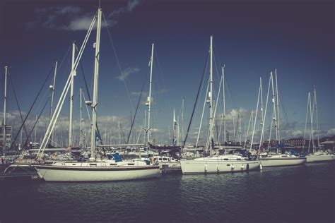 Boats In Marina Free Stock Photo Public Domain Pictures