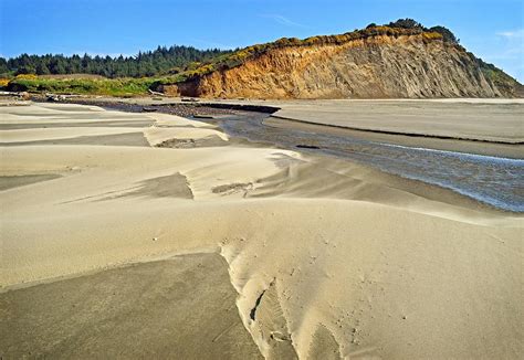 Sand Dunes At Agate Beach In Oregon Photograph By Maralei Keith Nelson