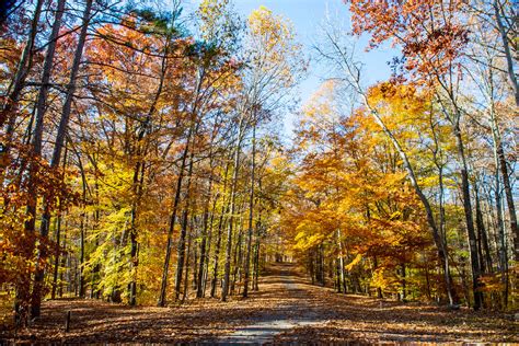 Hoosier National Forest Hardin Ridge Recreation Area Monroe Lake