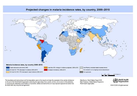 Who World Health Organization