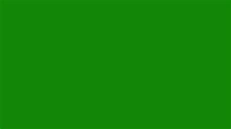 2560x1440 India Green Solid Color Background