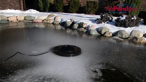 Water Garden De Icer Protects Fish All Winter How To Choose A Pond